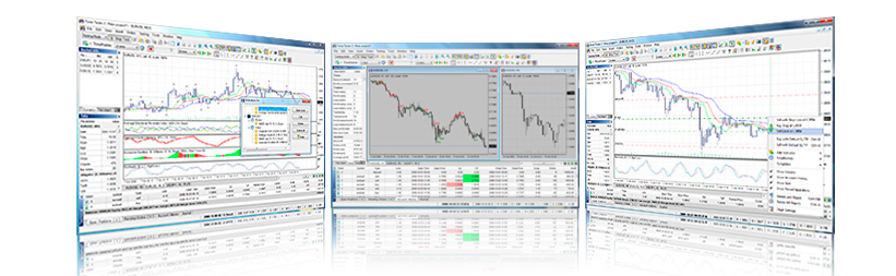 Forex tester program
