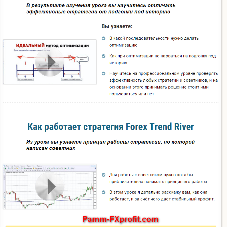B3 forex robot