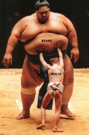 bulls_bears_market