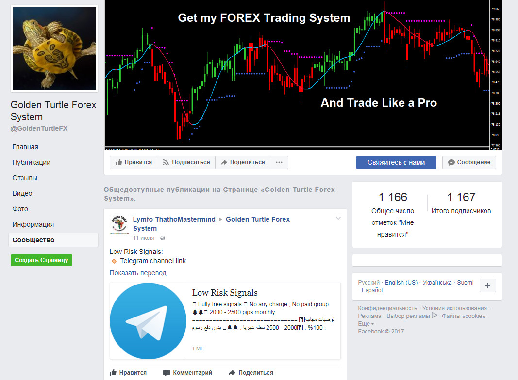 Golden turtle forex trading system