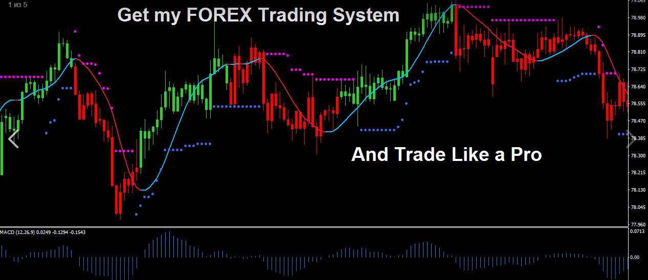 turtle trading forex system